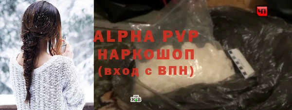 хмурый Алексин