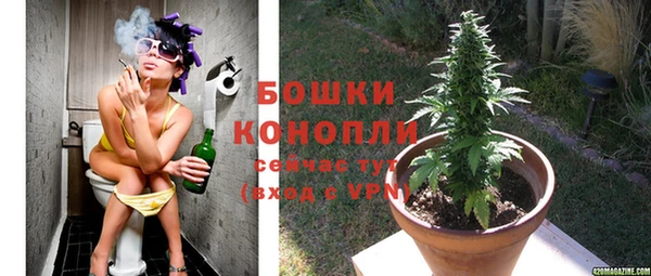 крисы Абдулино