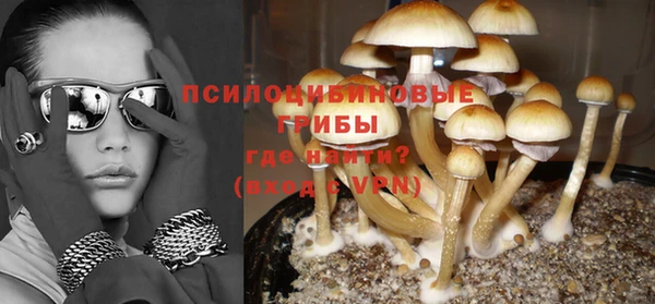 амф Алзамай